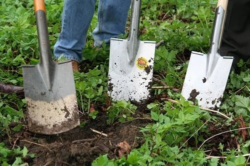 Gardening Galore In Enfield