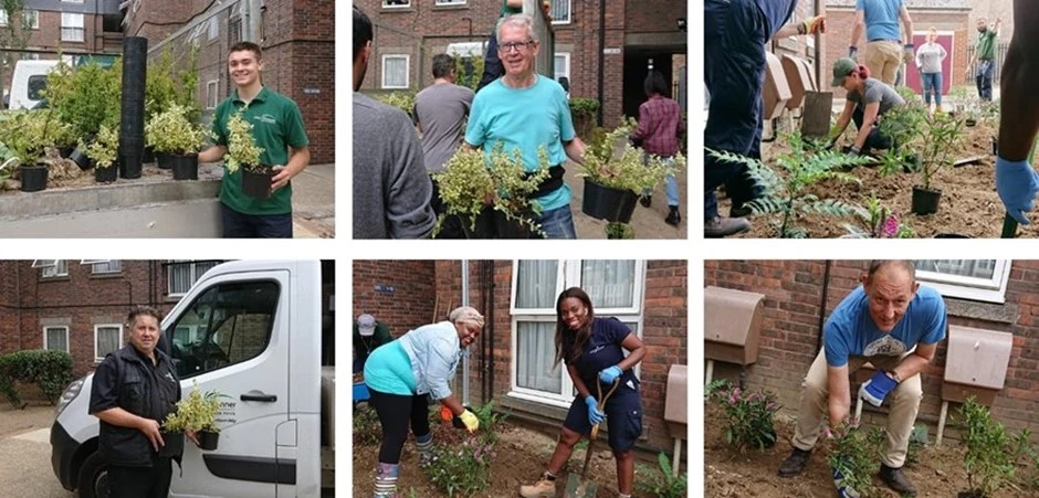 Gardening At Swan House In Enfield 1